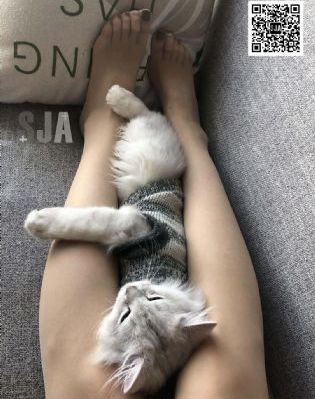 欧洲男同网gv网站_超清迅雷电影在线